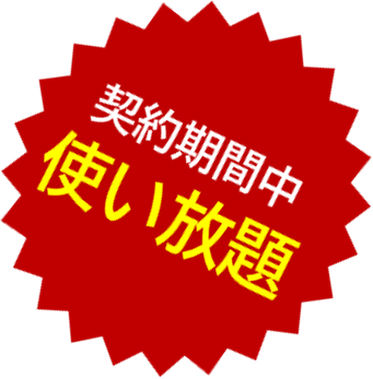 契約期間中使い放題