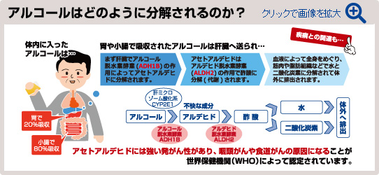 症状 段階 アルコール 中毒 急性 急性アルコール中毒の危険な症状と周囲ができる初期対応